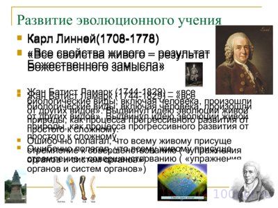 Презентация эволюция органического мира - слайд 1 1 слайд презентации эволюция органического мира