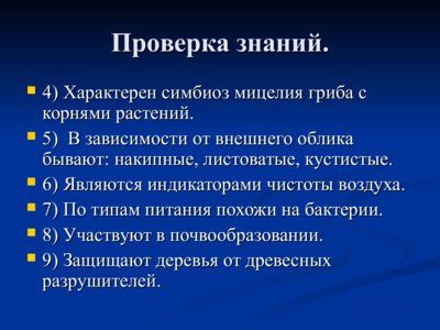 Презентация понятие о биогеоценозе и экосистеме - слайд 3 3 слайд презентации понятие о биогеоценозе и экосистеме
