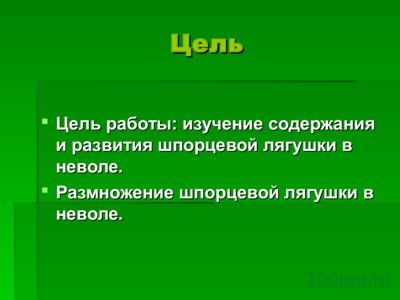 Презентация шпорцевые лягушки - слайд 2 2 слайд презентации шпорцевые лягушки