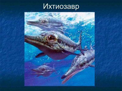 Презентация водные динозавры - слайд 3 3 слайд презентации водные динозавры