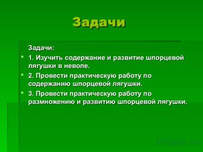 Презентация шпорцевые лягушки - слайд 3 3 слайд презентации шпорцевые лягушки