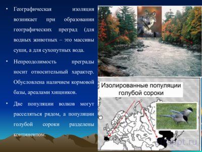 Презентация изолирующие механизмы - слайд 2 2 слайд презентации изолирующие механизмы