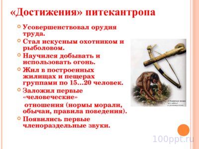 Презентация питекантроп - слайд 8 8 слайд презентации питекантроп