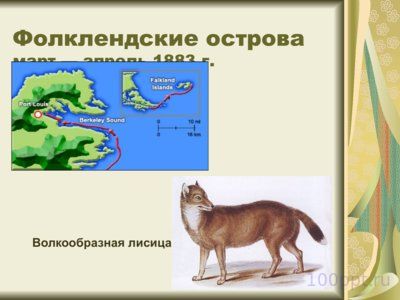 Презентация Чарльз Дарвин - слайд 11 11 слайд презентации Чарльз Дарвин