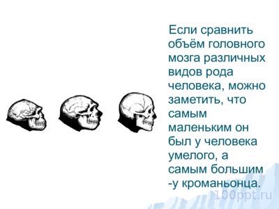 Презентация как появился человек на земле - слайд 13 13 слайд презентации как появился человек на земле