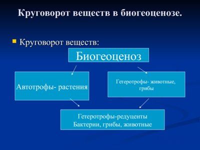 Презентация понятие о биогеоценозе и экосистеме - слайд 8 8 слайд презентации понятие о биогеоценозе и экосистеме