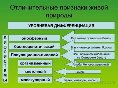 Презентация биология как наука - слайд 7 7 слайд презентации биология как наука