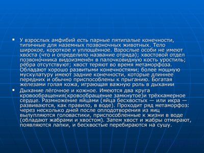 Презентация жизненный цикл лягушки - слайд 6 6 слайд презентации жизненный цикл лягушки