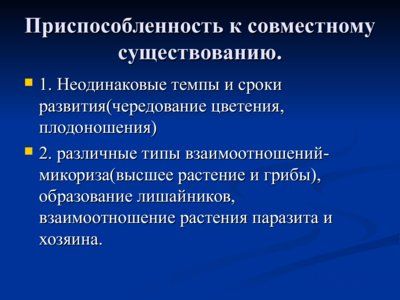 Презентация понятие о биогеоценозе и экосистеме - слайд 10 10 слайд презентации понятие о биогеоценозе и экосистеме