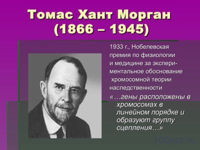 Презентация история и основные понятия генетики - слайд 5 5 слайд презентации история и основные понятия генетики