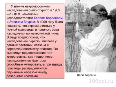Презентация хромосомное и цитоплазматическое наследование - слайд 2 2 слайд презентации хромосомное и цитоплазматическое наследование