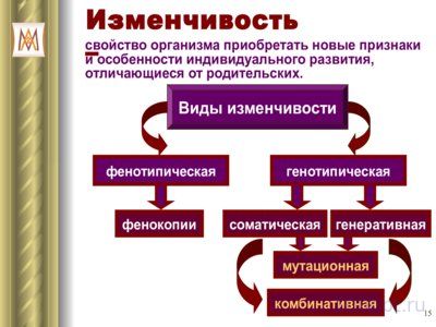Презентация патология наследственности - слайд 4 4 слайд презентации патология наследственности