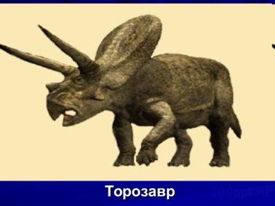 Презентация интересные факты о динозаврах - слайд 5 5 слайд презентации интересные факты о динозаврах