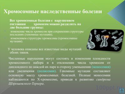 Презентация наследственные болезни - слайд 4 4 слайд презентации наследственные болезни