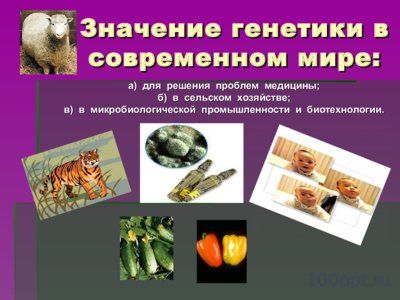 Презентация история и основные понятия генетики - слайд 7 7 слайд презентации история и основные понятия генетики