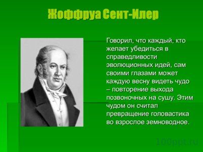 Презентация шпорцевые лягушки - слайд 5 5 слайд презентации шпорцевые лягушки