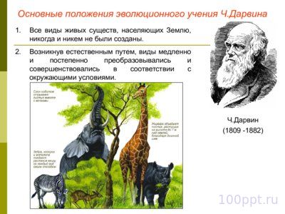 Презентация эволюционное учение - слайд 4 4 слайд презентации эволюционное учение