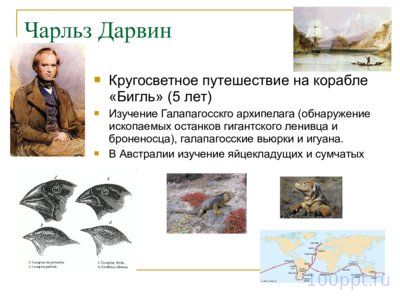 Презентация эволюция органического мира - слайд 3 3 слайд презентации эволюция органического мира