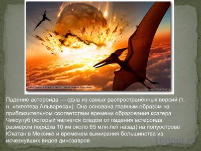 Презентация причины вымирания динозавров - слайд 6 6 слайд презентации причины вымирания динозавров