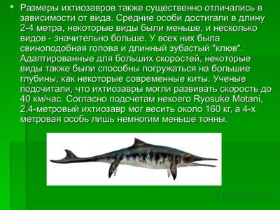 Презентация морские динозавры - слайд 2 2 слайд презентации морские динозавры