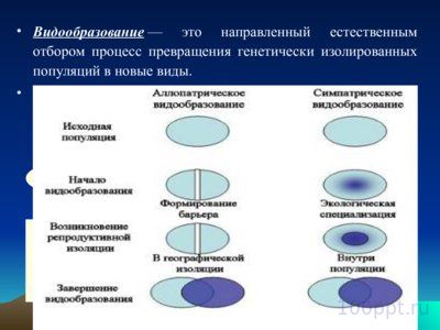 Презентация изолирующие механизмы - слайд 5 5 слайд презентации изолирующие механизмы