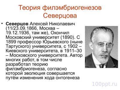 Презентация история эволюционных взглядов - слайд 11 11 слайд презентации история эволюционных взглядов