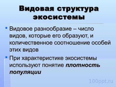Презентация структура экосистемы - слайд 5 5 слайд презентации структура экосистемы