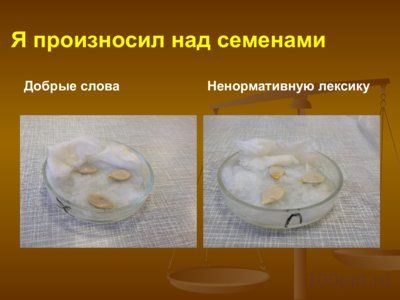 Презентация влияние ненормативной лексики на наследственность - слайд 10 10 слайд презентации влияние ненормативной лексики на наследственность