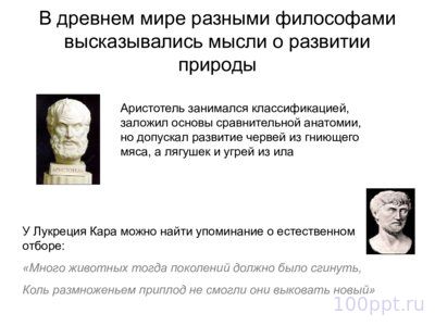 Презентация история эволюционных взглядов - слайд 3 3 слайд презентации история эволюционных взглядов