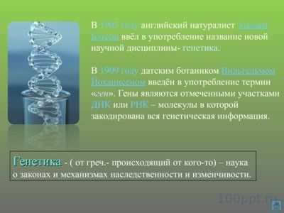 Презентация наследственные болезни - слайд 2 2 слайд презентации наследственные болезни