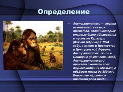 Презентация австралопитек - слайд 3 3 слайд презентации австралопитек