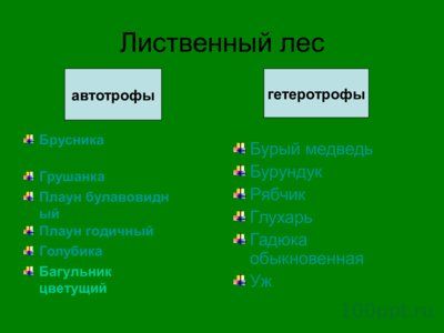 Презентация биогеоценоз лиственного леса - слайд 1 1 слайд презентации биогеоценоз лиственного леса