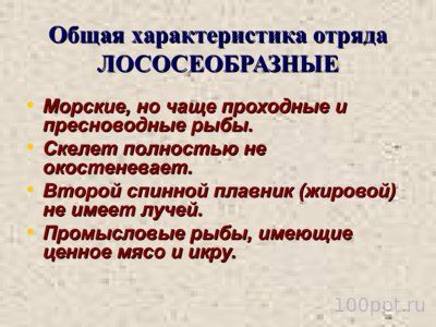 Презентация класс костные рыбы - слайд 6 6 слайд презентации класс костные рыбы