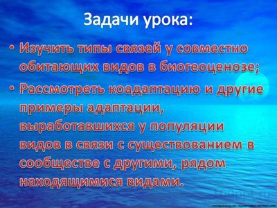 Презентация совместная жизнь видов в биогеоценозе - слайд 1 1 слайд презентации совместная жизнь видов в биогеоценозе
