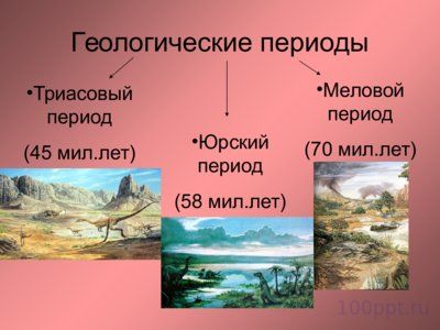 Презентация мезозойская эра - слайд 2 2 слайд презентации мезозойская эра