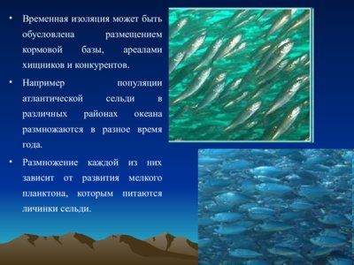 Презентация изолирующие механизмы - слайд 3 3 слайд презентации изолирующие механизмы