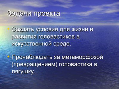 Презентация из головастика в лягушку - слайд 2 2 слайд презентации из головастика в лягушку