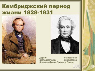 Презентация Чарльз Дарвин - слайд 5 5 слайд презентации Чарльз Дарвин