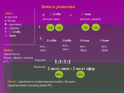 Презентация история и основные понятия генетики - слайд 9 9 слайд презентации история и основные понятия генетики
