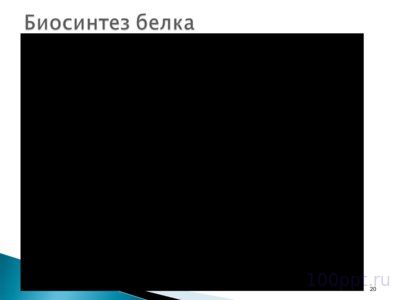 Презентация биохимические основы наследственности - слайд 13 13 слайд презентации биохимические основы наследственности