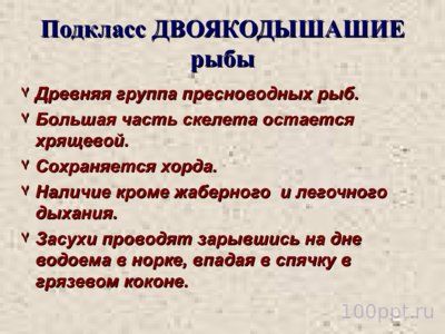 Презентация класс костные рыбы - слайд 10 10 слайд презентации класс костные рыбы