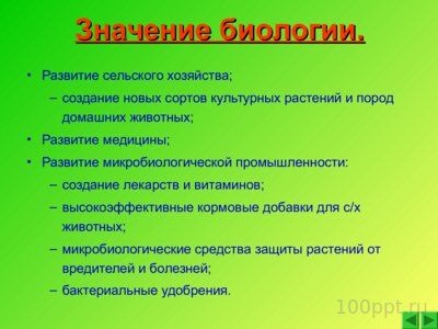 Реферат На Тему Биология Жизни Человека Реферат На Тему Биология Жизни Человека