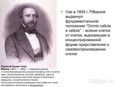 Презентация цитологические основы наследственности - слайд 2 2 слайд презентации цитологические основы наследственности