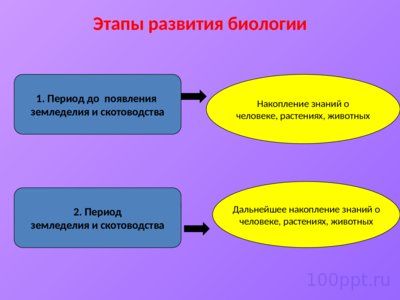 Презентация методы исследования в биологии - слайд 3 3 слайд презентации методы исследования в биологии