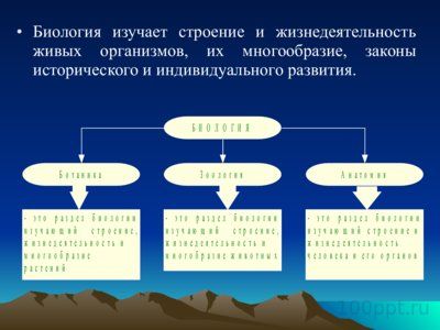 Презентация биология - наука о живой природе - слайд 7 7 слайд презентации биология - наука о живой природе