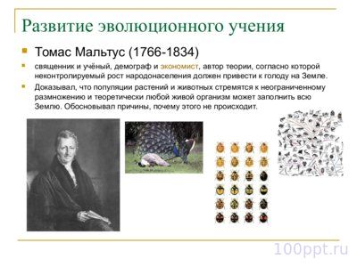 Презентация эволюция органического мира - слайд 4 4 слайд презентации эволюция органического мира