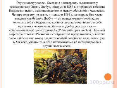 Презентация питекантроп - слайд 4 4 слайд презентации питекантроп