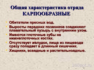 Презентация класс костные рыбы - слайд 7 7 слайд презентации класс костные рыбы