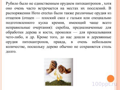 Презентация питекантроп - слайд 7 7 слайд презентации питекантроп