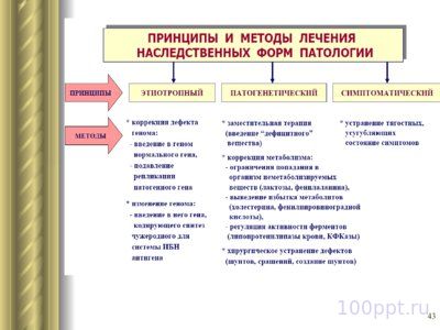 Презентация патология наследственности - слайд 10 10 слайд презентации патология наследственности